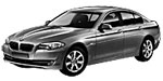 BMW F10 P294F Fault Code